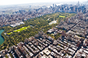 Central Park - aerial view - iStock.com amriphoto