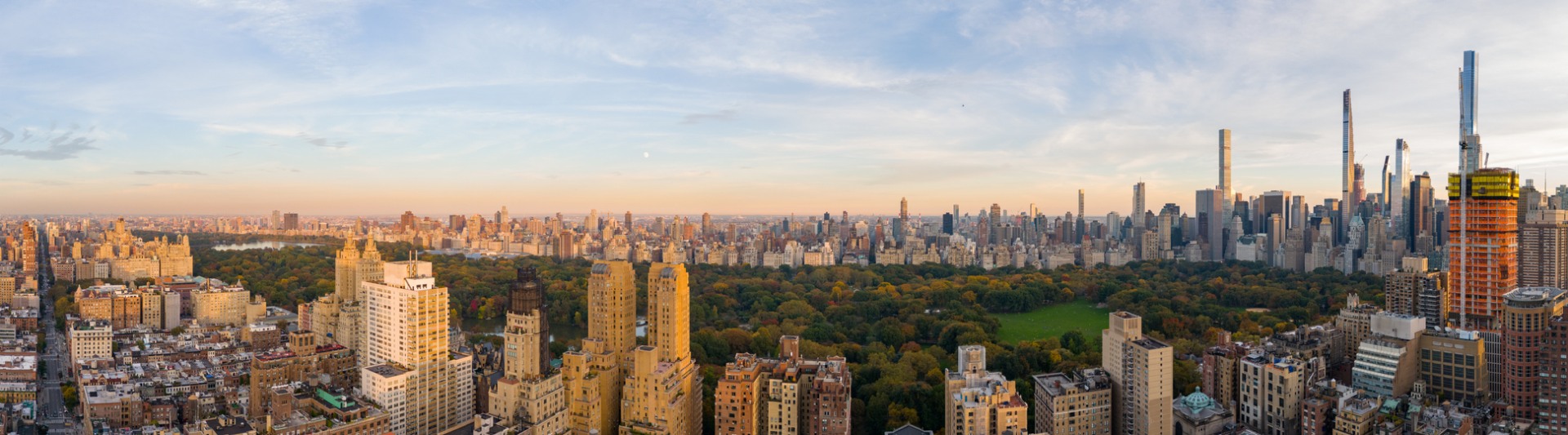 New York Skyline - Central Park - istock.com felixmizioznikov